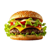 Shami Burger